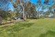 Photo - 6 Banksia Place, Arcadia NSW 2159 - Image 5