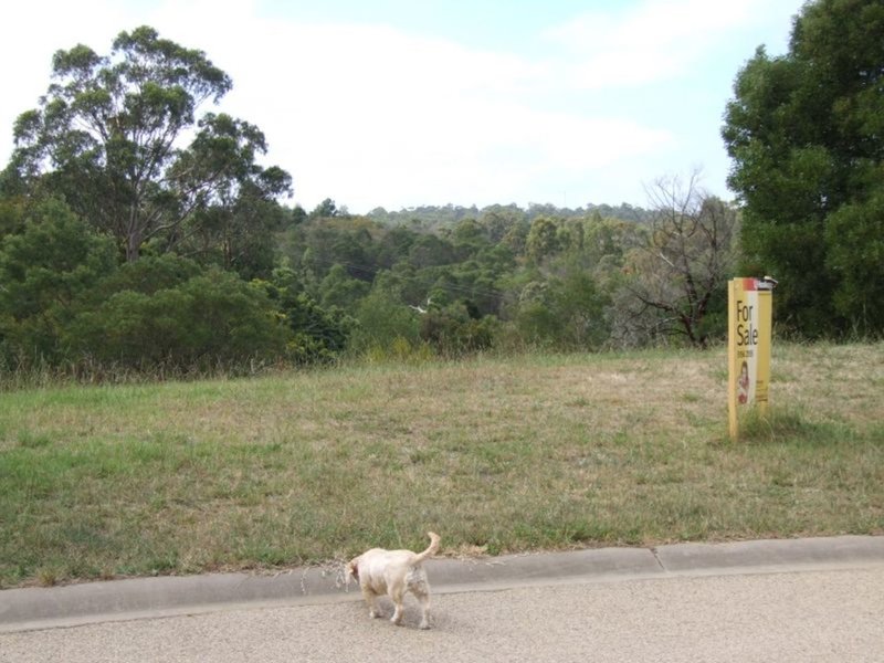 Photo - 6 Banool Close, Metung VIC 3904 - Image 6