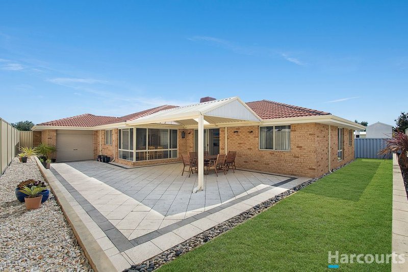 Photo - 6 Barham Mews, Currambine WA 6028 - Image 6