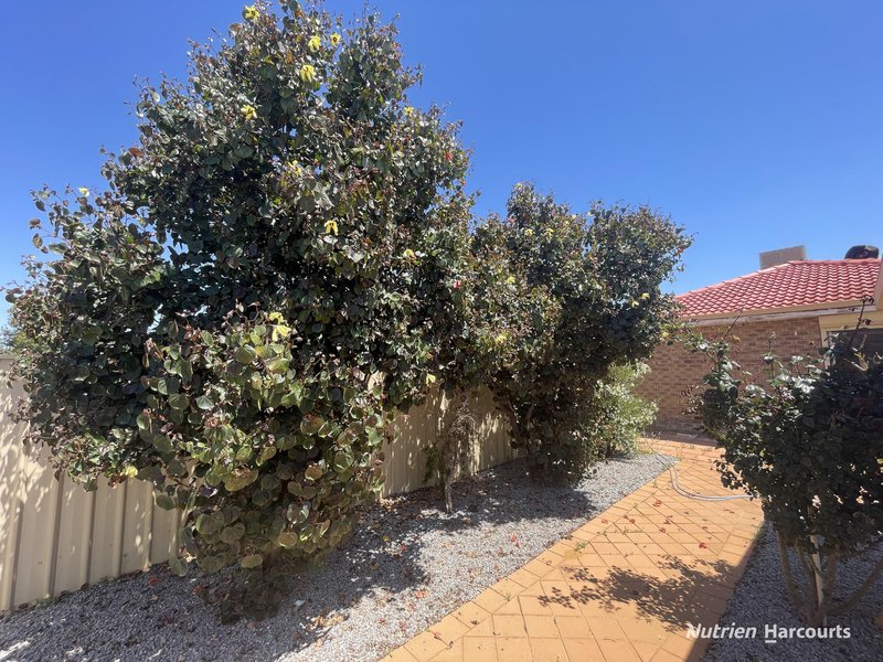 Photo - 6 Barnes Street, Morawa WA 6623 - Image 21