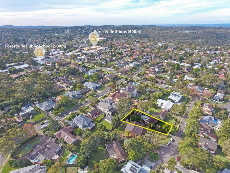 Photo - 6 Bernie Avenue, Forestville NSW 2087 - Image 2