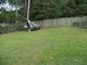 Photo - 6 Bluebush Ave , Buderim QLD 4556 - Image 2