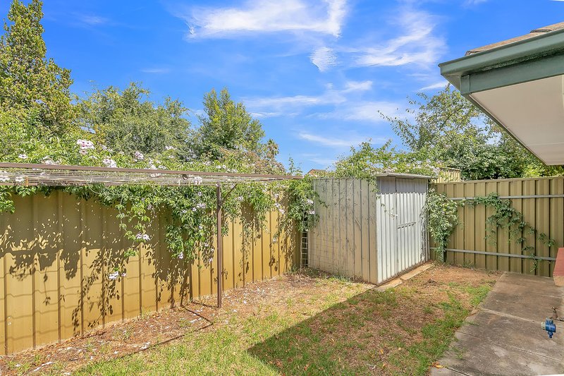 Photo - 6 Brinkworth Street, South Plympton SA 5038 - Image 12