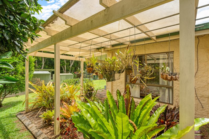 Photo - 6 Brudo Court, Palmwoods QLD 4555 - Image 17