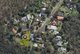 Photo - 6 Burns Place, Springwood NSW 2777 - Image 1