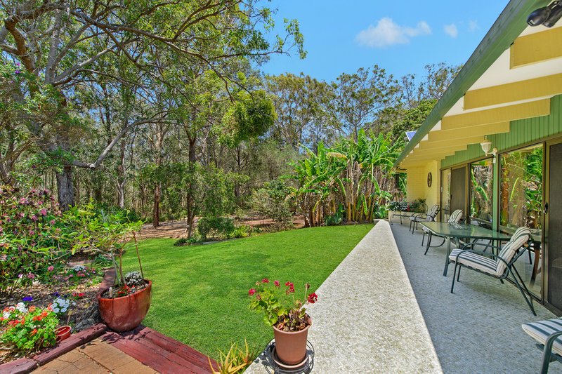 Photo - 6 Burraneer Avenue, Port Macquarie NSW 2444 - Image 11