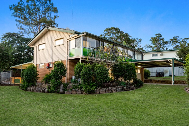 Photo - 6 Caladenia Court, Everton Hills QLD 4053 - Image 15