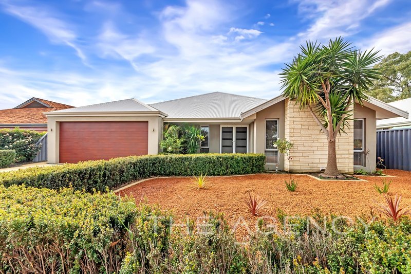 6 Callistemon Gardens, Baldivis WA 6171