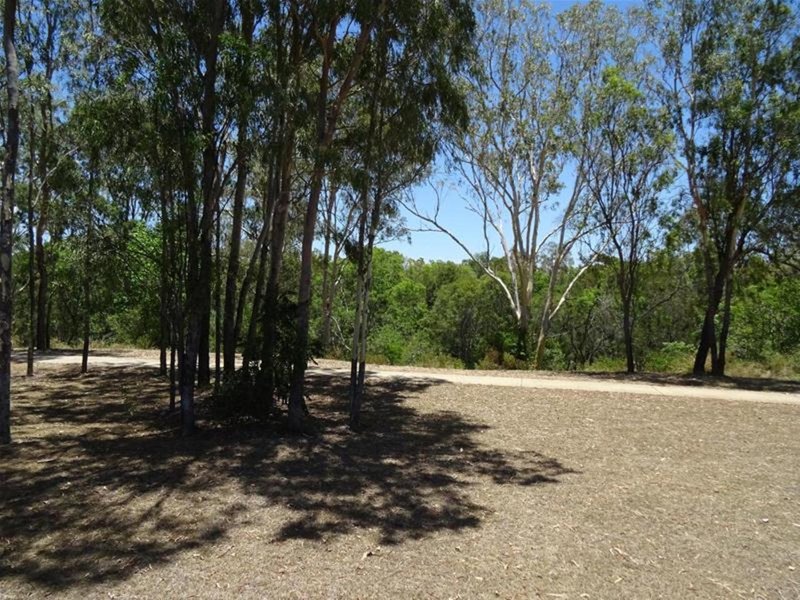 Photo - 6 Cassia Court, Nebo QLD 4742 - Image 9