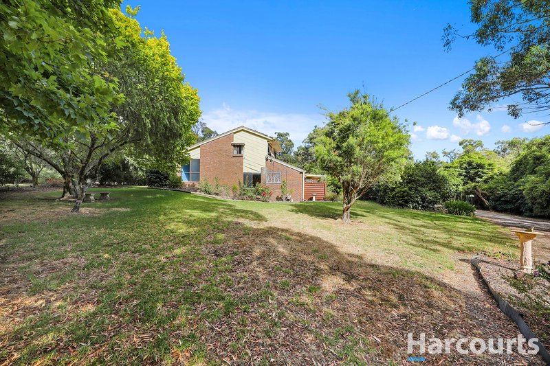 Photo - 6 Chambers Road, Bunyip VIC 3815 - Image 4