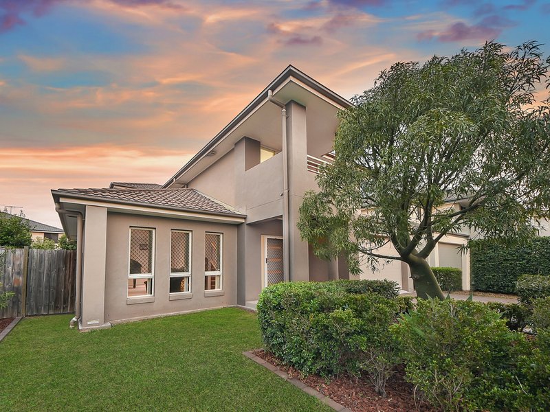 Photo - 6 Cheddar Court, Carseldine QLD 4034 - Image 17