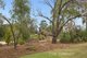Photo - 6 Clements Place, Jandakot WA 6164 - Image 6