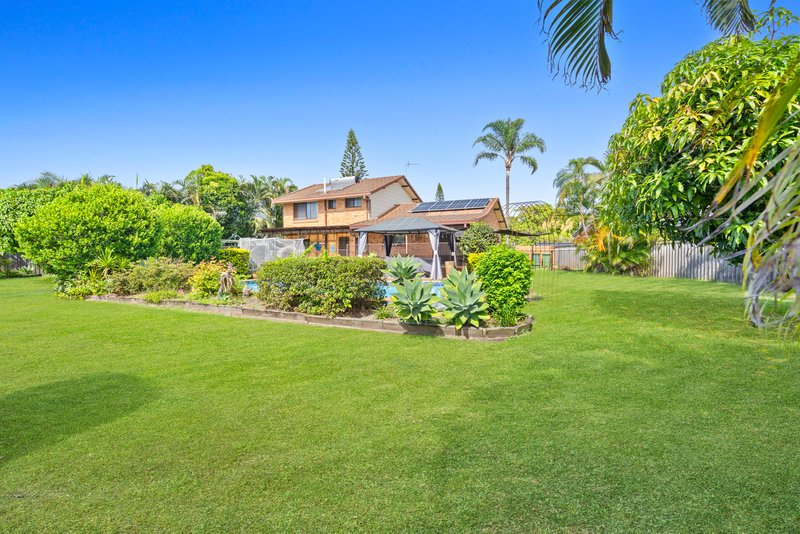 Photo - 6 Coleto Crescent, Burleigh Waters QLD 4220 - Image 4