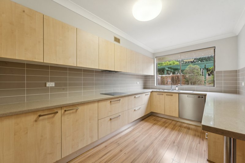 Photo - 6 Collins Avenue, Rose Bay NSW 2029 - Image 2