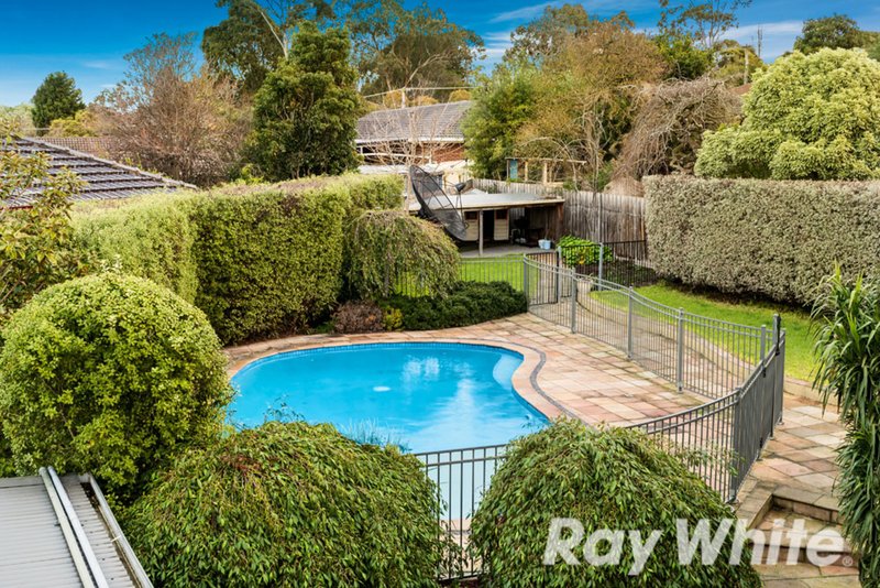 Photo - 6 Coral Court, Vermont South VIC 3133 - Image 12