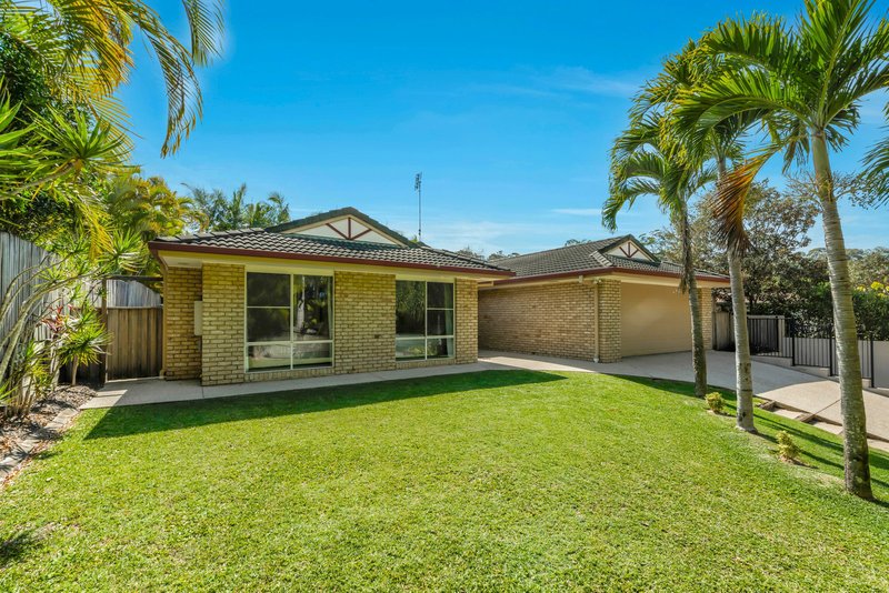 6 Coralgum Ct , Buderim QLD 4556