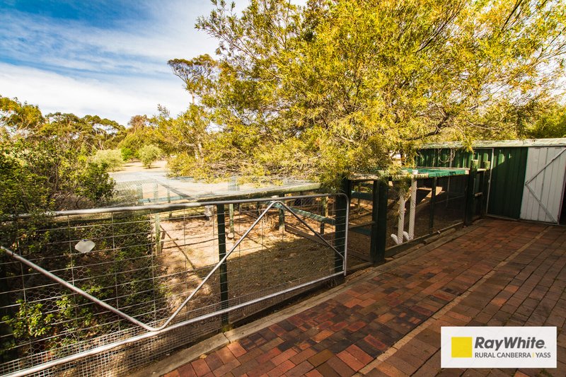 Photo - 6 Corriedale Avenue, Murrumbateman NSW 2582 - Image 10