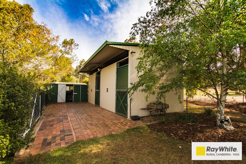 Photo - 6 Corriedale Avenue, Murrumbateman NSW 2582 - Image 12