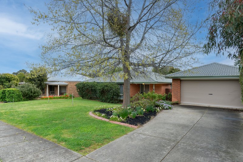 Photo - 6 Coughlin Court, Seymour VIC 3660 - Image 2