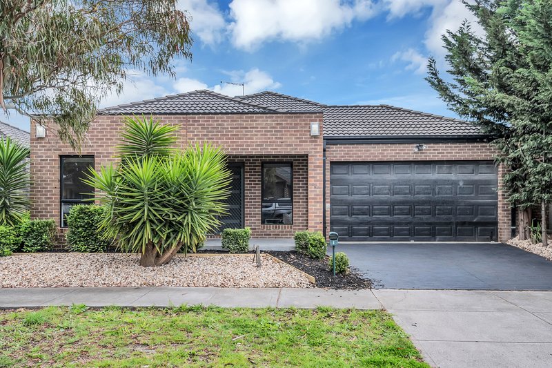 Photo - 6 Coventry Lane, Craigieburn VIC 3064 - Image 3