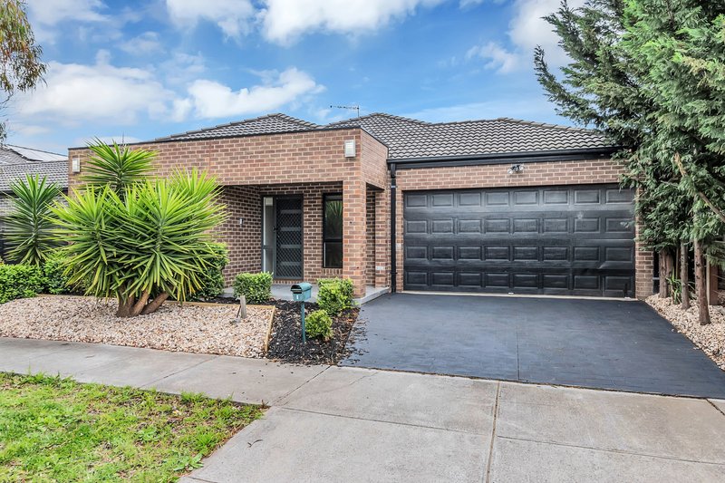 Photo - 6 Coventry Lane, Craigieburn VIC 3064 - Image 21