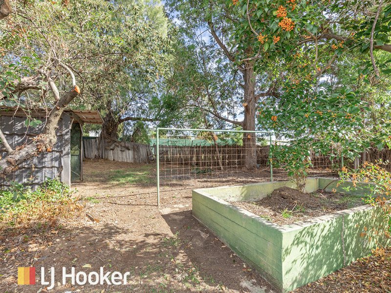 Photo - 6 Croydon Avenue, South Tamworth NSW 2340 - Image 14