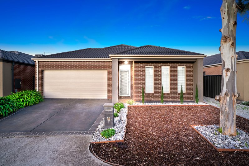 6 Dorset Walk, Mernda VIC 3754