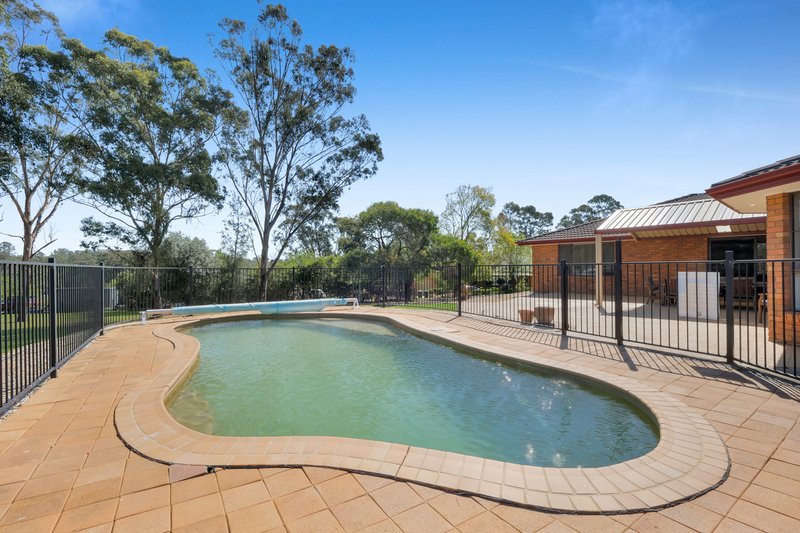 Photo - 6 Doust Place, Grasmere NSW 2570 - Image 13