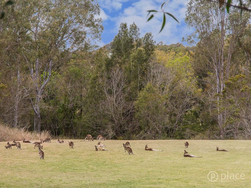 Photo - 6 Dray Court, Riverhills QLD 4074 - Image 18