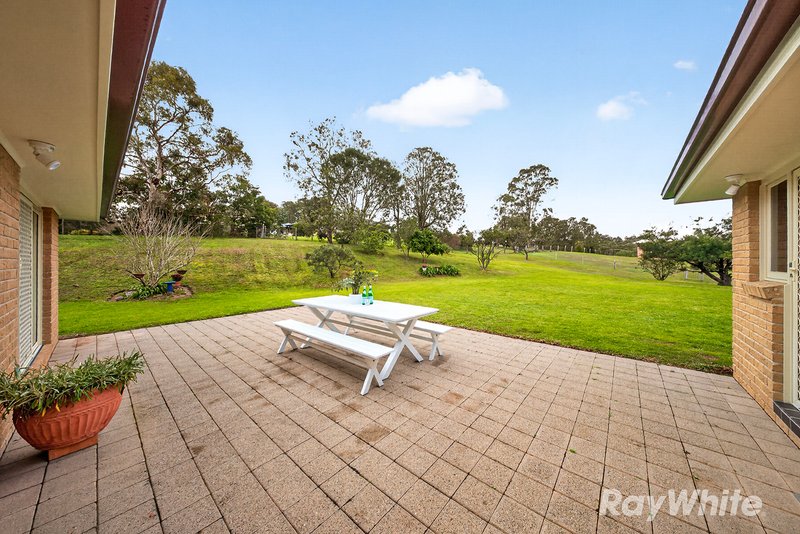 Photo - 6 Druce Smith Place, Singleton NSW 2330 - Image 19