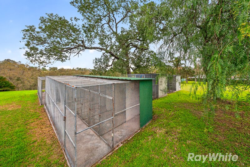 Photo - 6 Druce Smith Place, Singleton NSW 2330 - Image 21