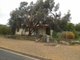 Photo - 6 Elizabeth Street, Mannum SA 5238 - Image 7