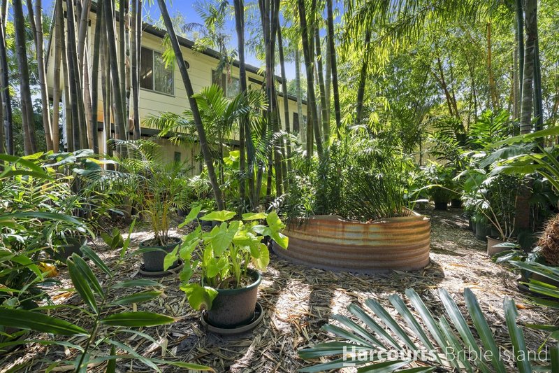 Photo - 6 Elkhorn Avenue, Bellara QLD 4507 - Image 11