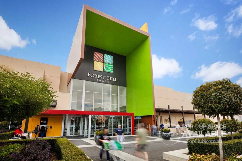 Photo - 6 Enfield Place, Forest Hill VIC 3131 - Image 14