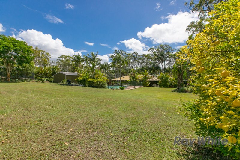 Photo - 6 Firtree Street, Capalaba QLD 4157 - Image 5