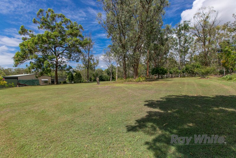 Photo - 6 Firtree Street, Capalaba QLD 4157 - Image 6