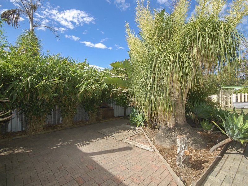 Photo - 6 Fotheringham Street, Wingham NSW 2429 - Image 14