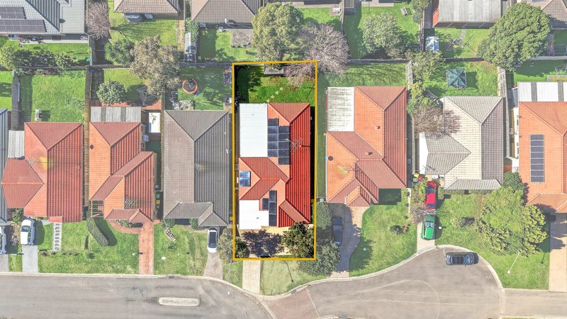 Photo - 6 Gardiner Street, Minto NSW 2566 - Image 17