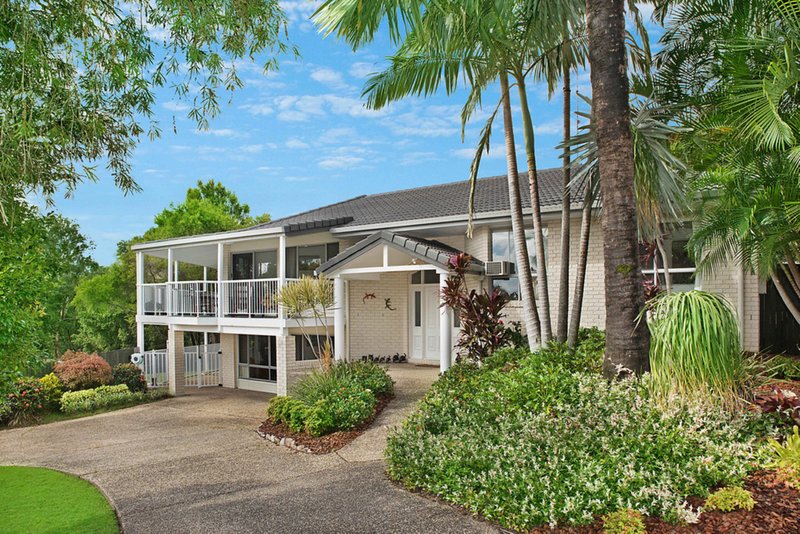 Photo - 6 Glenalpin Court, Buderim QLD 4556 - Image 19