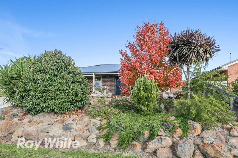 Photo - 6 Glengarry Court, Drysdale VIC 3222 - Image 2