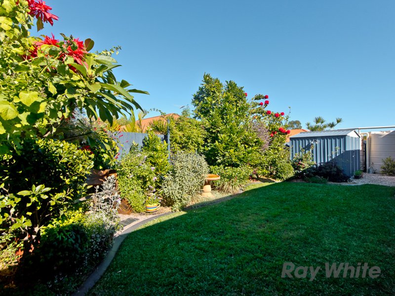 Photo - 6 Greendale Place, Bracken Ridge QLD 4017 - Image 15