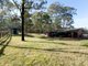 Photo - 6 Gum Close, Pampoolah NSW 2430 - Image 4