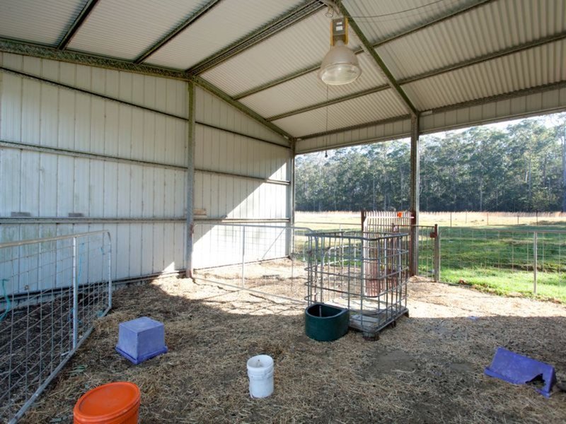 Photo - 6 Gum Close, Pampoolah NSW 2430 - Image 16