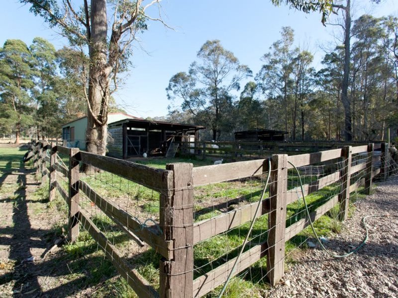 Photo - 6 Gum Close, Pampoolah NSW 2430 - Image 17