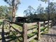 Photo - 6 Gum Close, Pampoolah NSW 2430 - Image 17