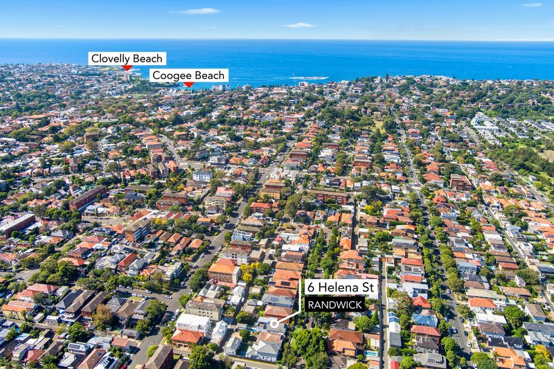 Photo - 6 Helena Street, Randwick NSW 2031 - Image 13