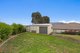 Photo - 6 Hibiscus Way, Tamworth NSW 2340 - Image 10