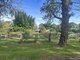 Photo - 6 Holme Street, Terara NSW 2540 - Image 35