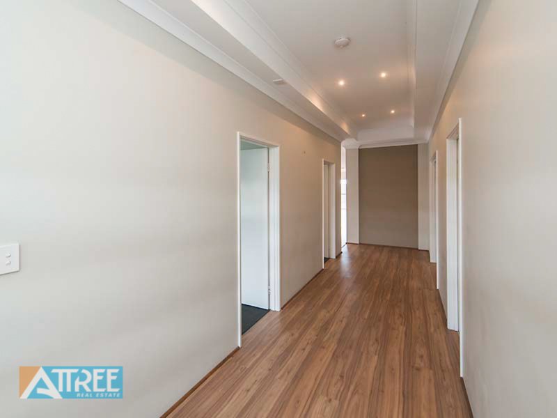 Photo - 6 Holywell Street, Piara Waters WA 6112 - Image 3