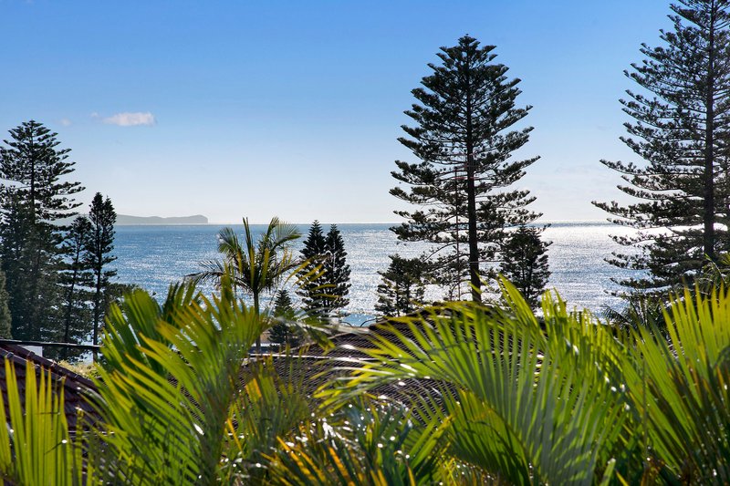 Photo - 6 Homestead Avenue, Collaroy NSW 2097 - Image 8